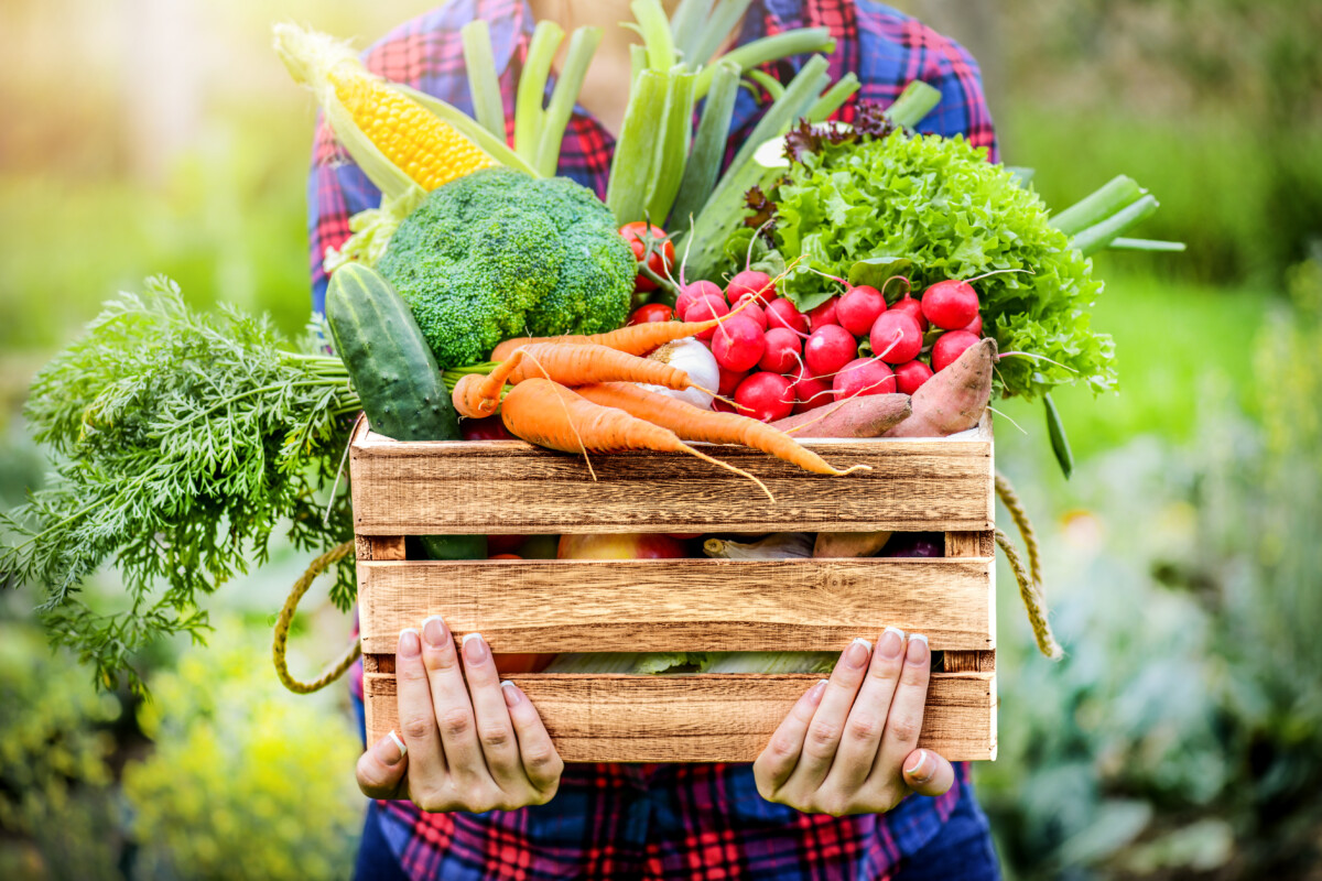 Farmer Woman Holding Wooden Box Full Of Fresh Raw Vegetables
