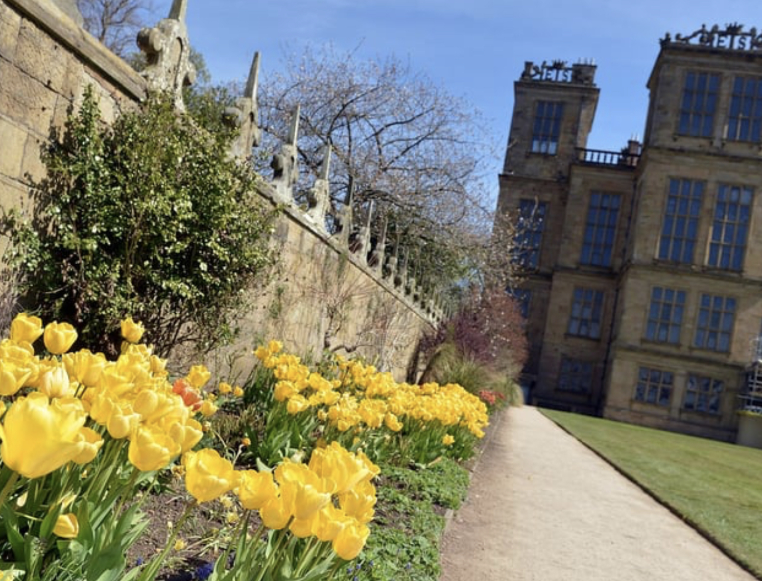 Spring Flowers At Hardwick Hall
