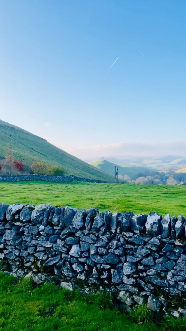 For anyone taking strength from nature today.#earlsterndale #derbyshire #peakdistrict #peakdistrictnationalpark #holidaycottages #nature #naturevideos #landscapephotography #landscapevideo #buxton #uniquedistrict