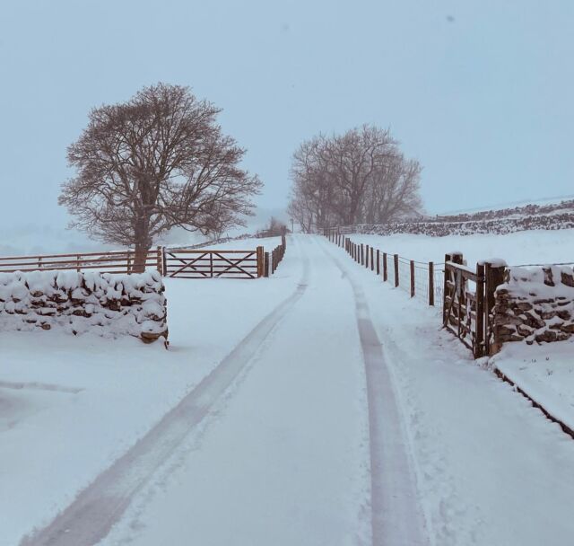And there was us thinking we may have dodged the snow this year…Totally beautiful weekend in the Peaks.Thank you to everyone who helped dig us out!#uksnow #peakdistrictsnow #peakdistrict #highwheeldon #wheeldon #earlsterndale #wheeldontreescottages #wheeldontrees #derbyshire #luxurycottages