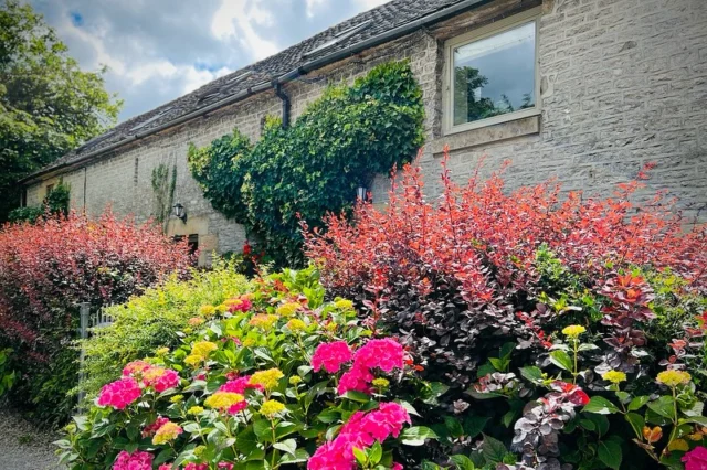 Summer days in the English countryside.#wheeldontrees #holidaycottage #derbyshire #peakdistrict